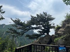 -老界岭旅游度假区