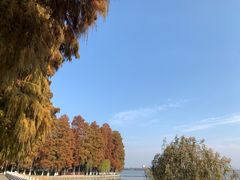 -东湖生态旅游风景区