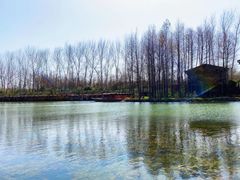 -溱湖国家湿地公园