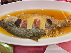 清蒸鲥鱼-金时代顺风大酒店(协泰店)