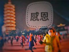 -葛仙湖公园