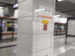 -红树湾(地铁站)