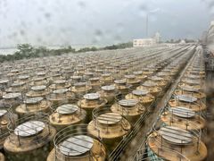 -厨邦酱油文化博览馆