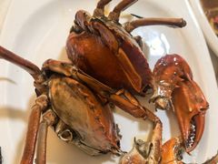 -莲花公园煎蟹(总店)