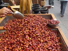 -嘉凌码头·重庆特产手工火锅底料(洪崖洞九楼店)
