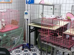 -可蒙动物医院·猫科·骨科中心(首义路店)