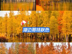 -白鹭湾湿地公园