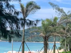 -西涌国际滨海旅游区