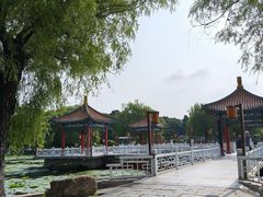 -长春市南湖公园