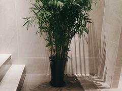 -东方威尼斯温泉酒店