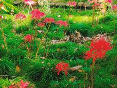 -共青国家森林公园-售票处