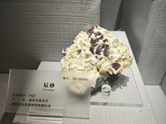 -湖南省地质博物馆