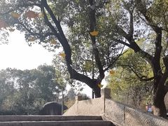 -安亭老街