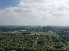 -莲花岛景区