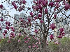 -白塘生态植物园