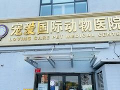 -宠爱国际动物医院·疑难骨科·心肾内科·皮肤科(太阳宫店)