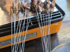 -野人部落(荷兰村店)