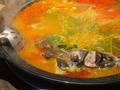 贵州酸汤鱼-夜郎国·贵州菜(南山店)