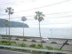 -伊豆观海列车