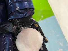 -世界之窗阿尔卑斯冰雪世界