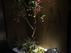-江南足纪·影院足道·轻奢SPA(红山6979店)