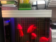 -方快-照相馆(莘庄沁春路店)