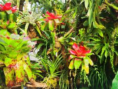 -北京植物园-展览温室