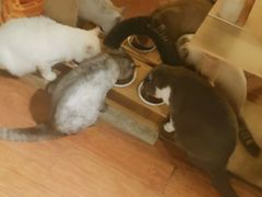 -螃蟹岬(地铁站)