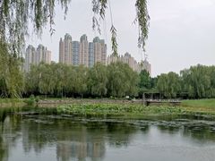 -望湖公园