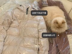 -UCC国际洗衣(永兴路店)