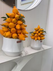 -白月光皮肤管理·德国LDM