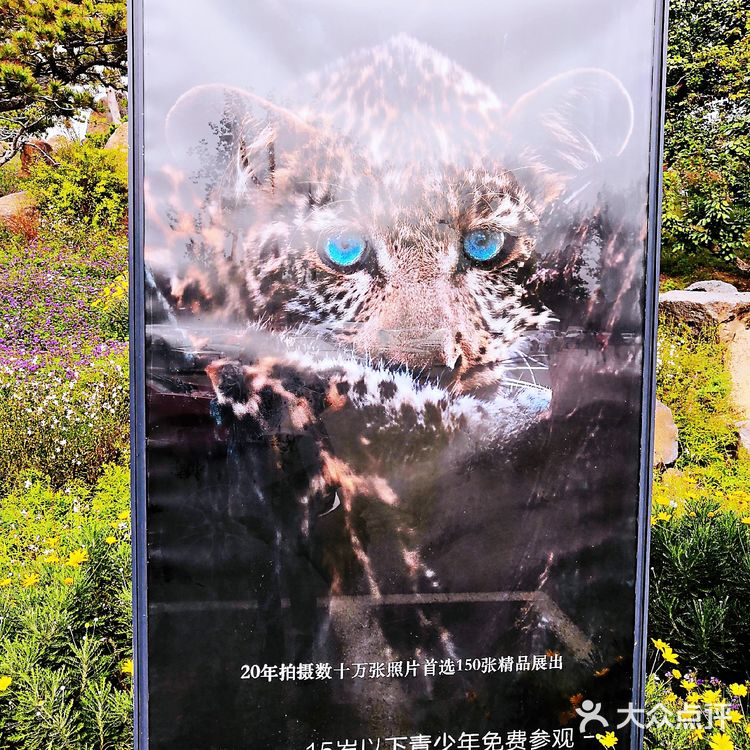 罗红艺术馆