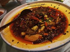 毛血旺-川香楼酒家