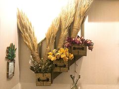 -夏叶茶(大光明店)