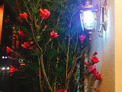 -上沟咱家饭店(黄河路店)