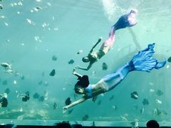 -瑞德姆美人鱼海底演艺主题餐厅(亚龙湾店)
