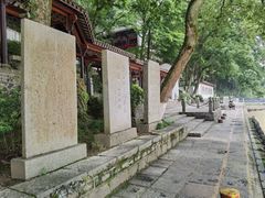 -严子陵钓台(富春江小三峡)