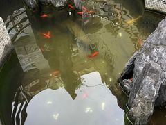 -上海交通大学医学院附属第九人民医院浦东分院-停车场