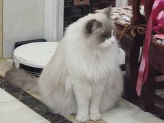 -海景壹号大酒店(惠钱路店)