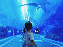 -成都浩海立方海洋公园