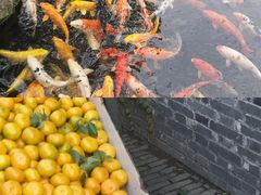 -花园茶楼(兴城西路店)