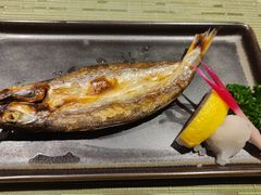 -镹·鱼料理  国产鱼使用店