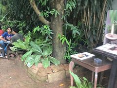 -Fern Forest Cafe