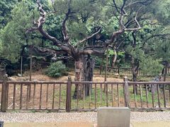 -草庵摩尼教遗址公园