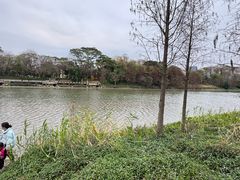 -怡海公园(桂城街道)