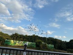 -深圳野生动物园
