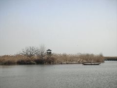 -盐城丹顶鹤湿地生态旅游区