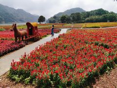 -广州市石门国家森林公园