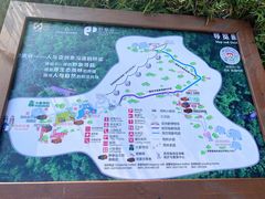 -野象谷景区