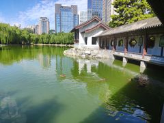 -团结湖公园